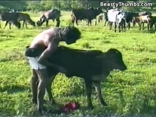 《人类和动物-牛婴儿资源多多,等着你欣赏》高清完整版在线观看- 天天视频 